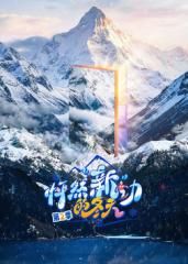 声之岛